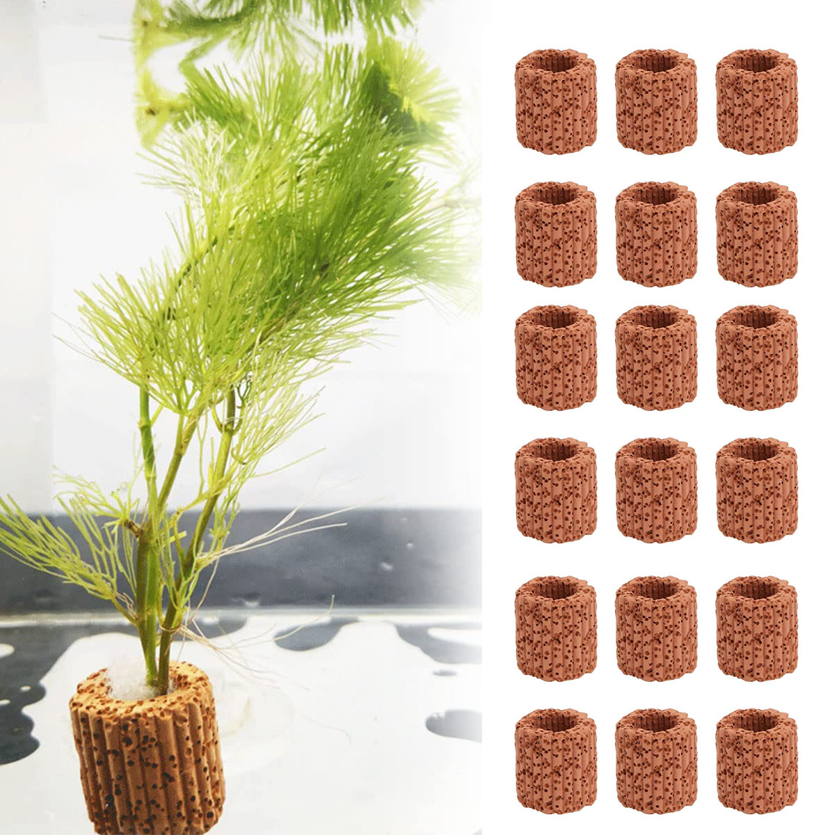 Aquarium Innovative Marine - 10/20Pcs Aquatic Water Plant Fixed Ring