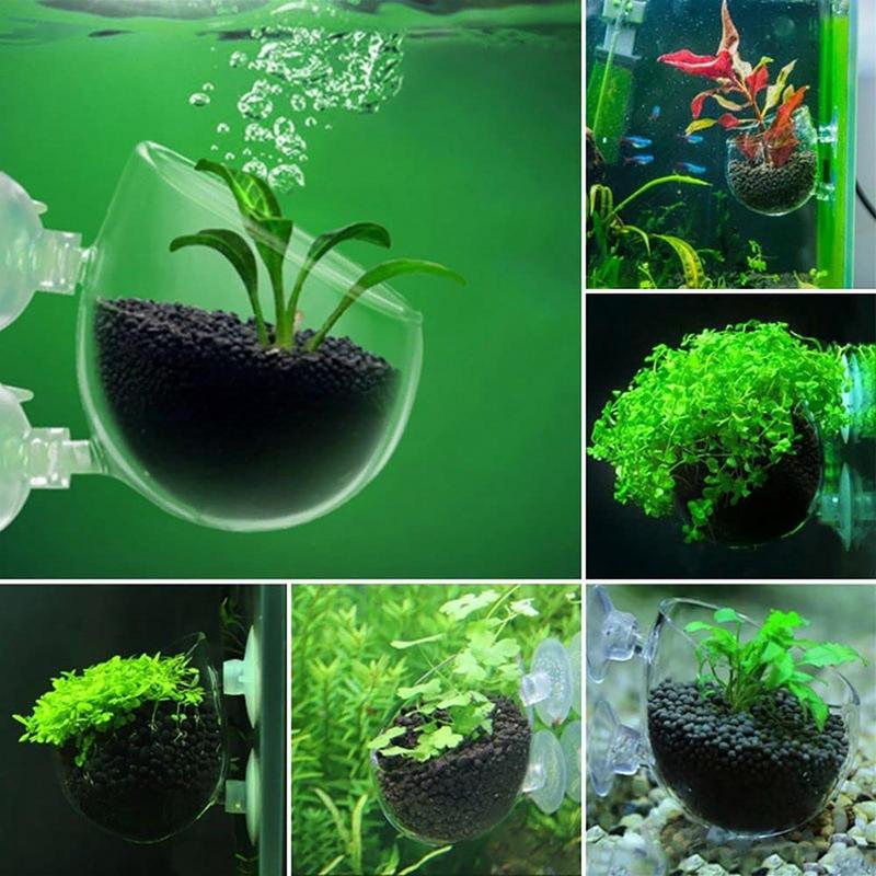 Aquarium Innovative Marine - Aquarium Decorations Plant Cup Pot Acrylic
