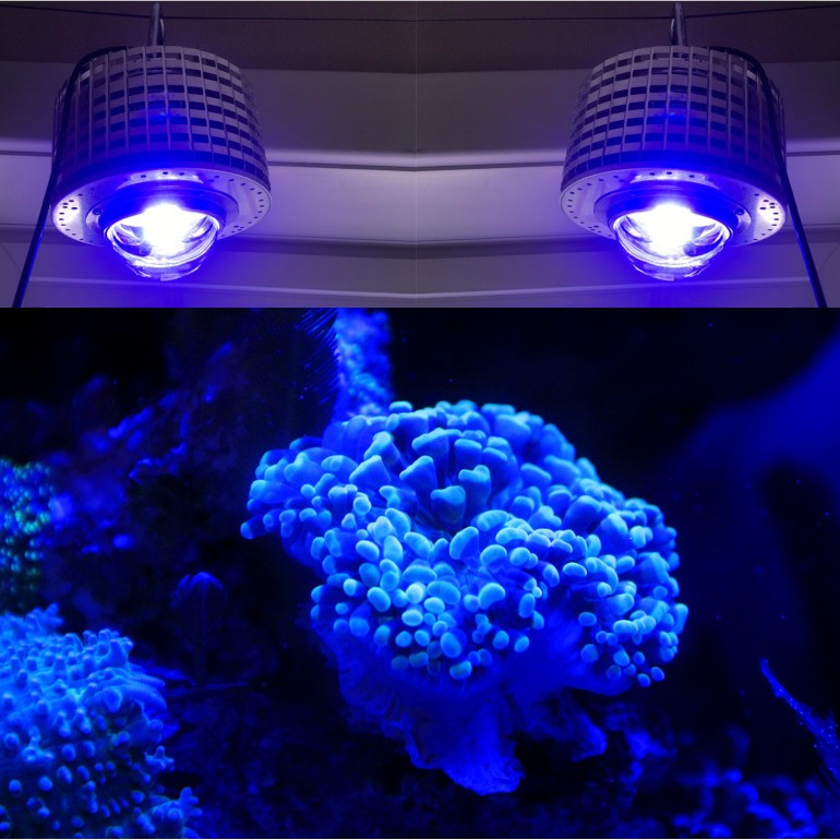 Marine Aquarium Led Lights - LED Aquarium Lighting Full Spectrum, 100W,