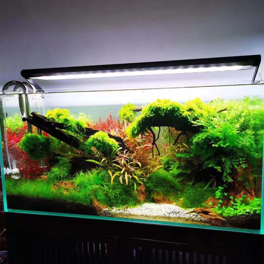 Week Aqua P Series Ver.3 P600  – обзор и цена Marine Aquarium Led Lights