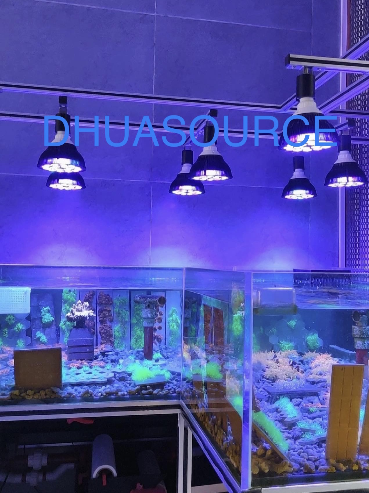 Full specturm LED Aquarium Ree – обзор и цена Marine Aquarium Led Lights
