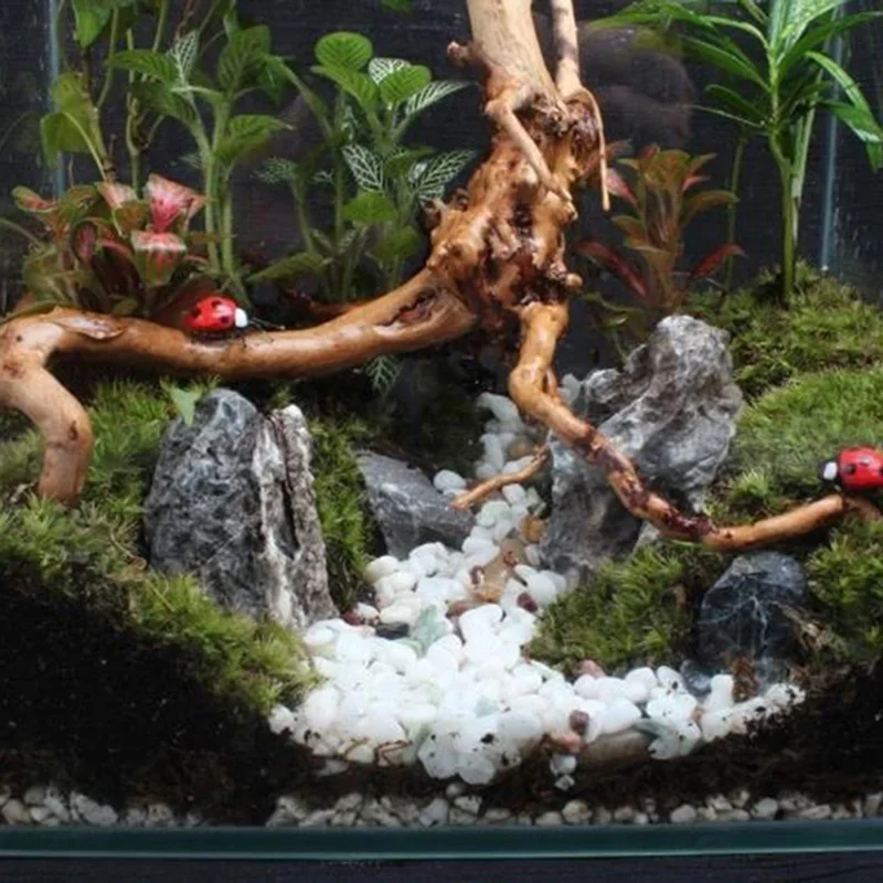 Natural Tree Trunk Driftwood A – обзор и цена Aquarium Innovative Marine