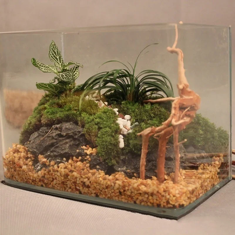 Natural Tree Trunk Driftwood A – обзор и цена Aquarium Innovative Marine