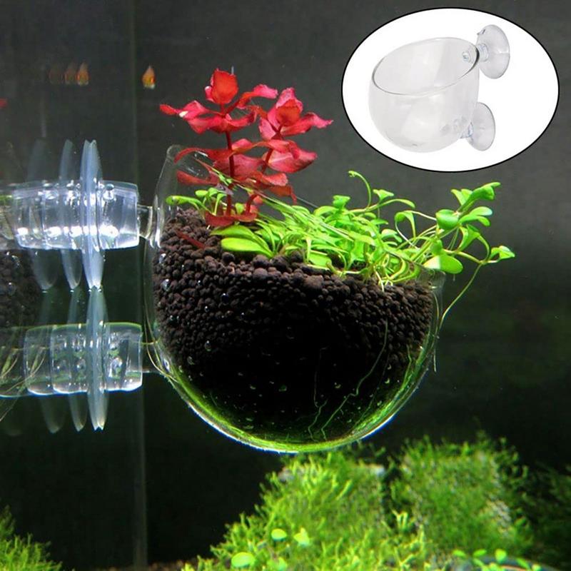 Aquarium Decorations Plant Cup – обзор и цена Aquarium Innovative Marine