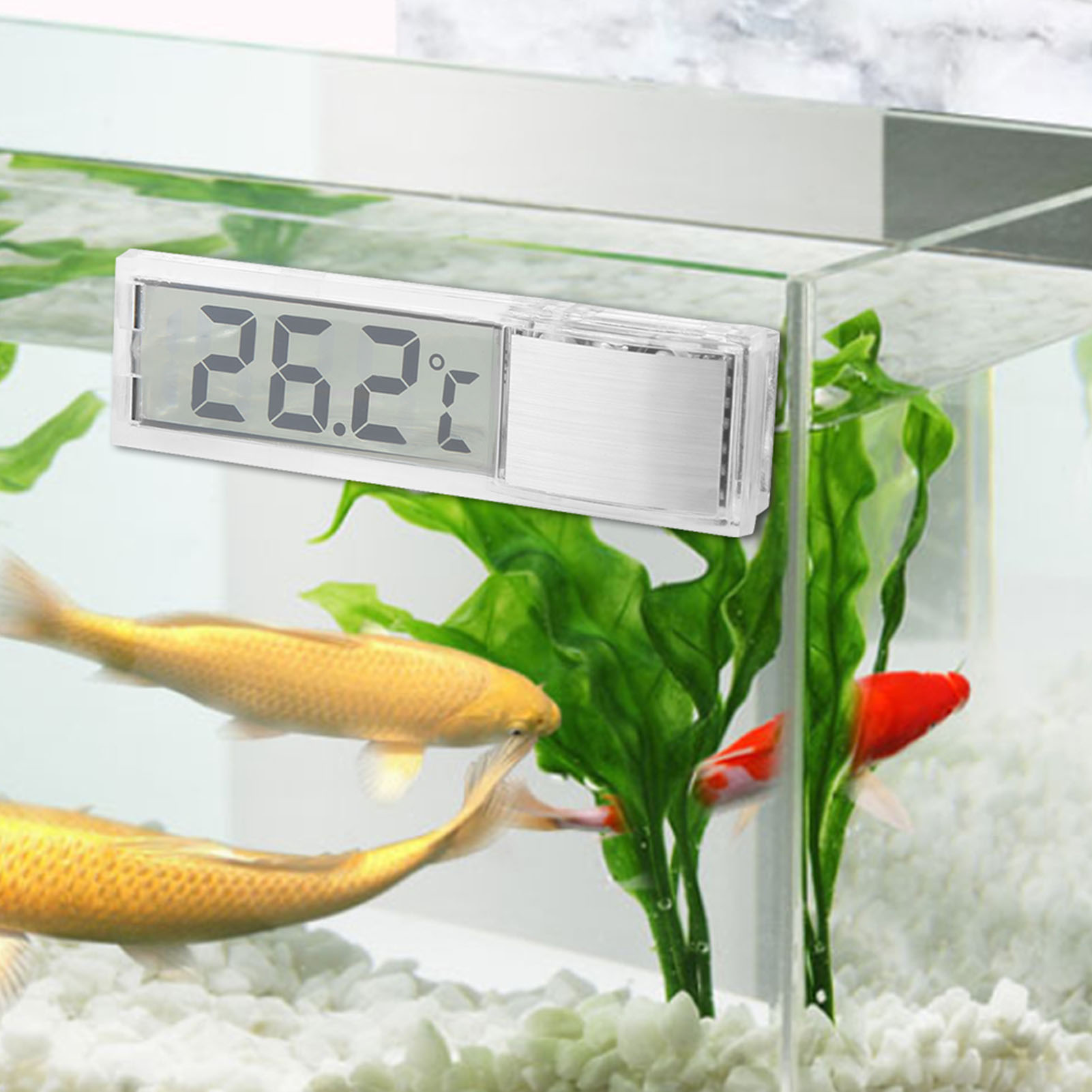 3D LCD Electronic Transparent  – обзор и цена Marine Aquarium Temperature