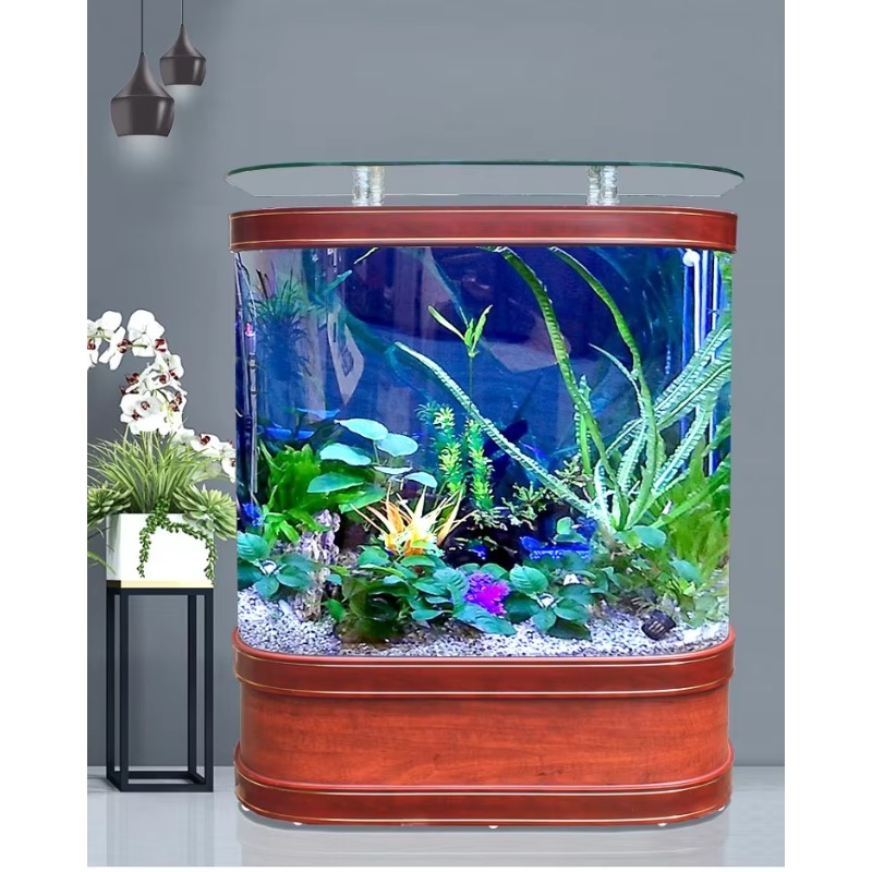 Marine Large 200 Gallon Fish A – обзор и цена Aquarium Marine Fish For Sale