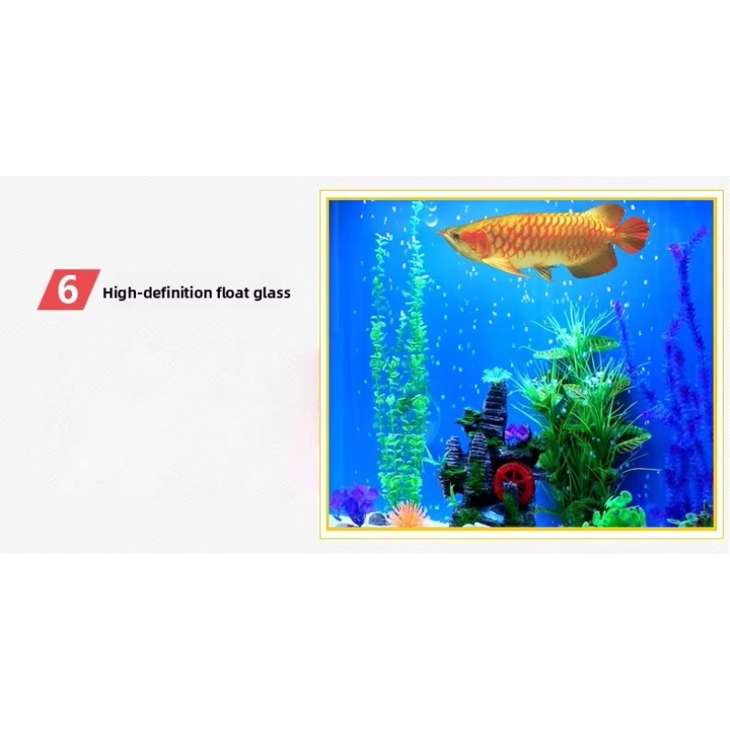 Marine Large 200 Gallon Fish A – обзор и цена Aquarium Marine Fish For Sale