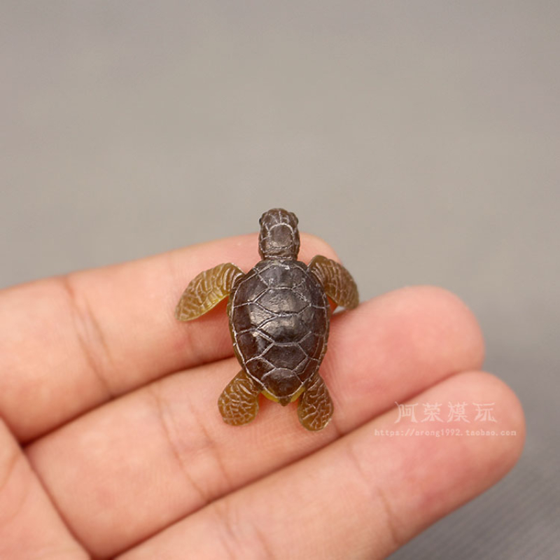 Marine Life Sea Turtle Model O – обзор и цена Marine Aquarium Japan