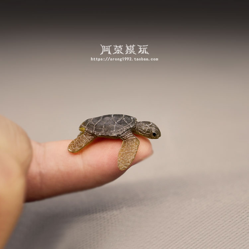 Marine Life Sea Turtle Model O – обзор и цена Marine Aquarium Japan