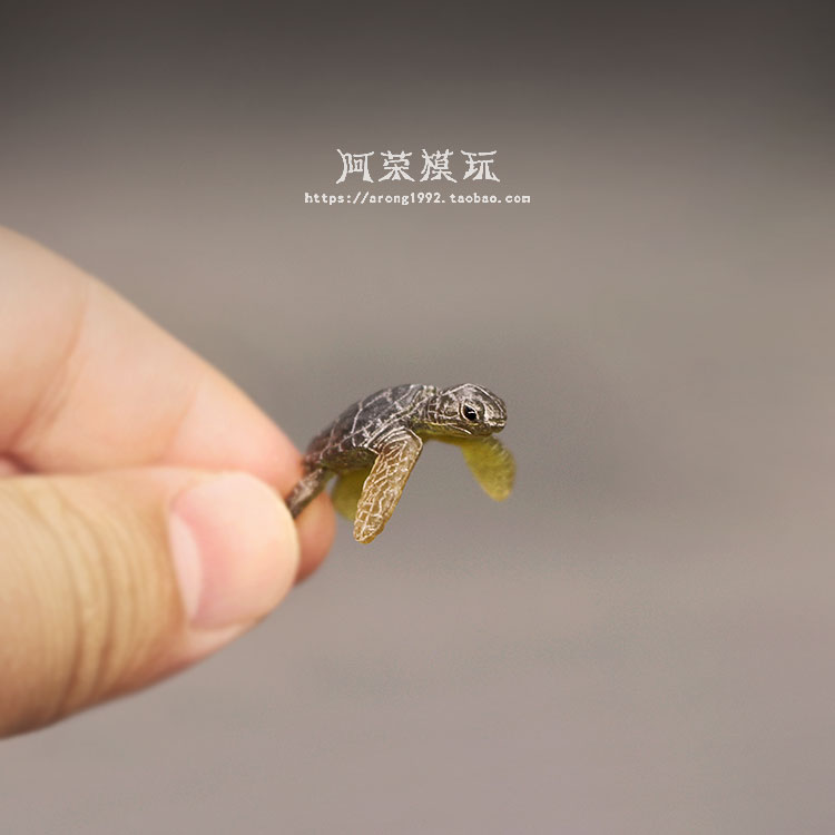 Marine Life Sea Turtle Model O – обзор и цена Marine Aquarium Japan