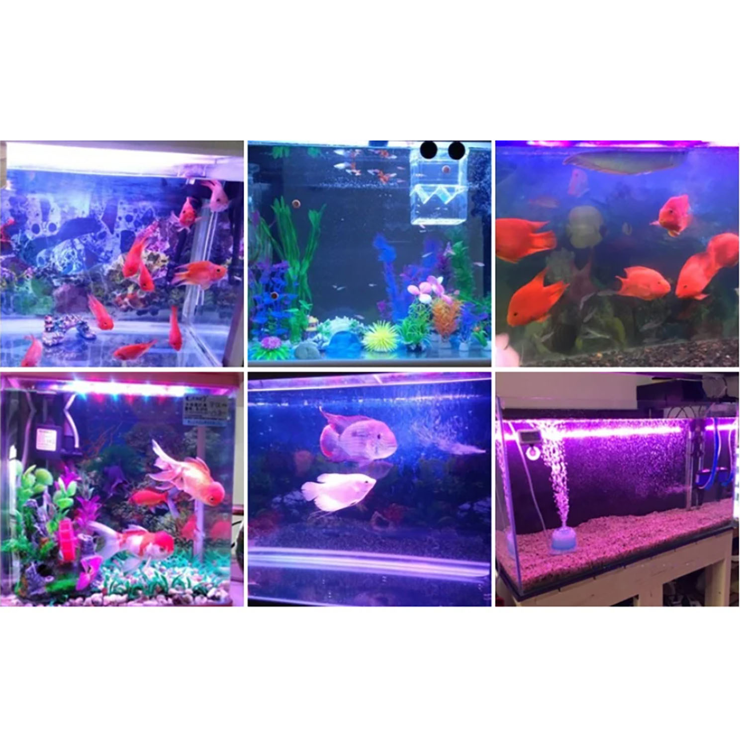 50W 60W 70W 100W RGB 26-28V Hi – обзор и цена Marine Aquarium Uv