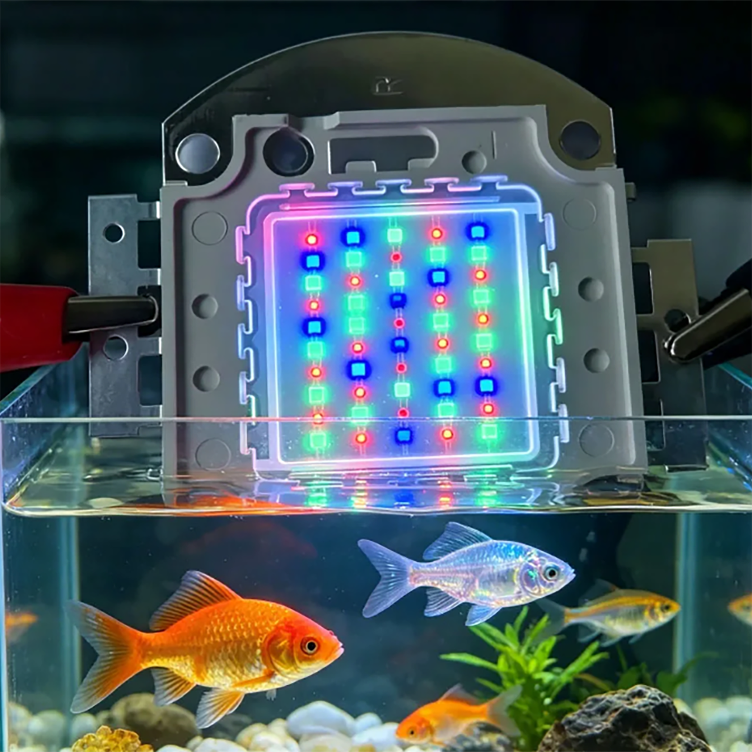 50W 60W 70W 100W RGB 26-28V Hi – обзор и цена Marine Aquarium Uv