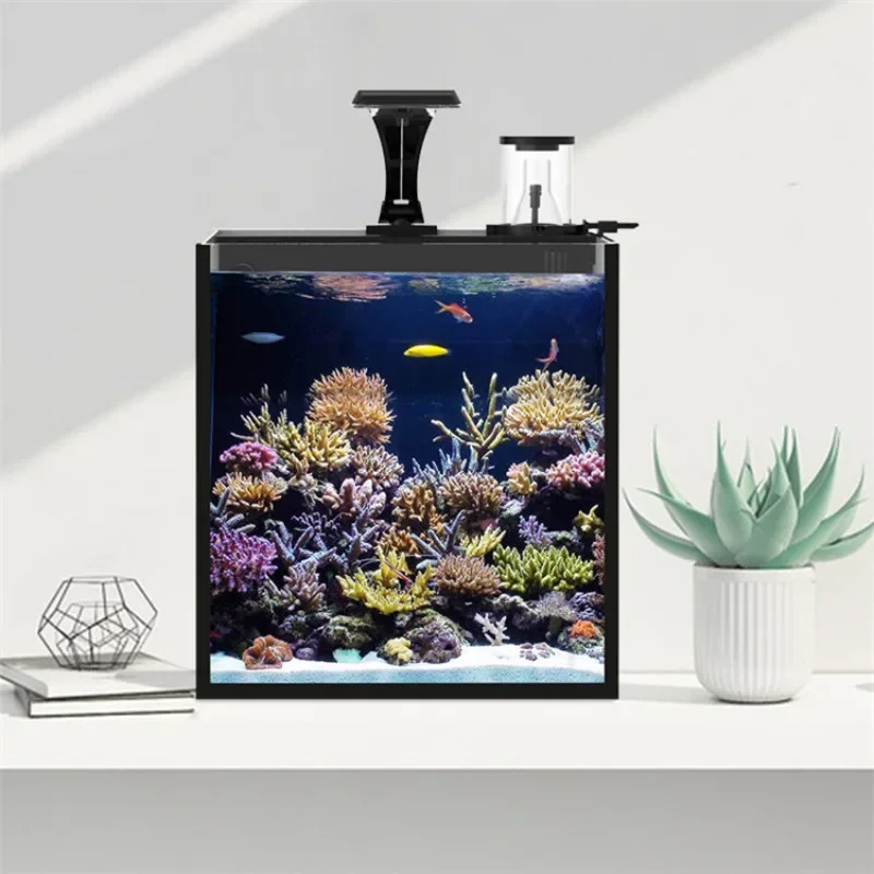 Hot sales Ultra Clear Glass Mi – обзор и цена Aquarium Marine Fish For Sale