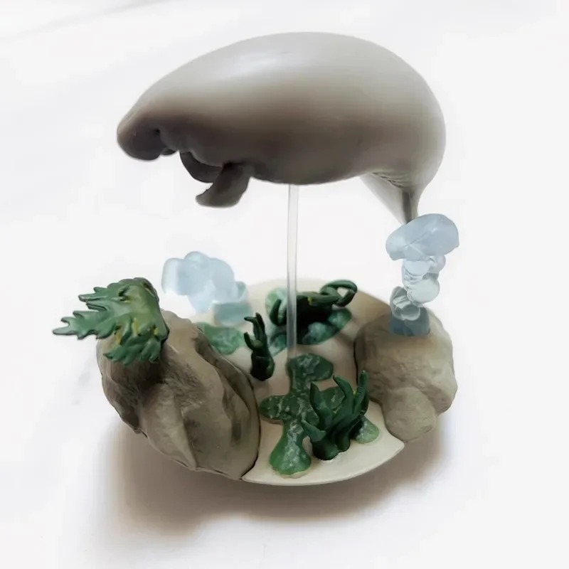 QUALIA Kawaii Gashapon Figure  – обзор и цена Marine Aquarium Japan