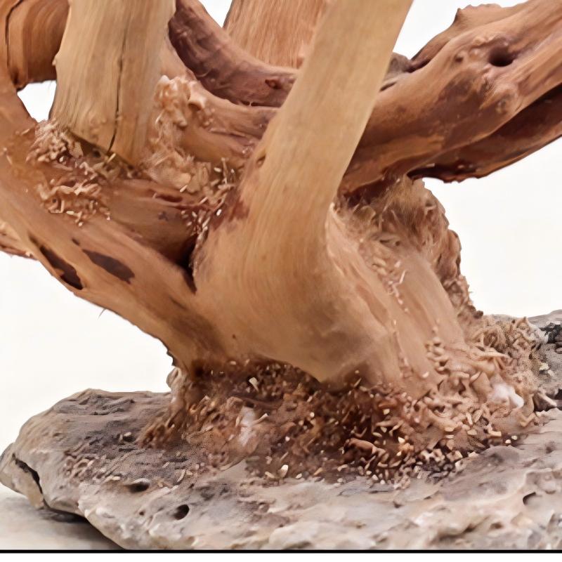 1PC Aquarium Landscaping Wood  – обзор и цена Aquarium Innovative Marine