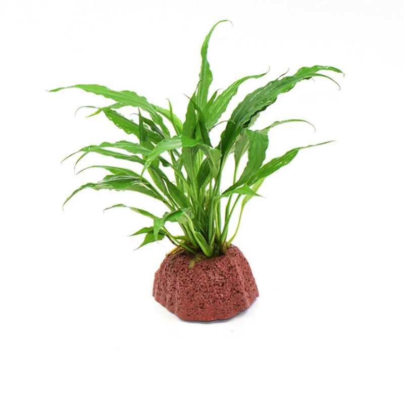 Red Volcanic Aquarium Decorati – обзор и цена Aquarium Innovative Marine